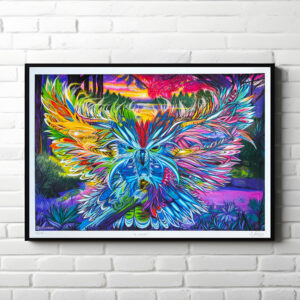 Gatuno « A Coruja »