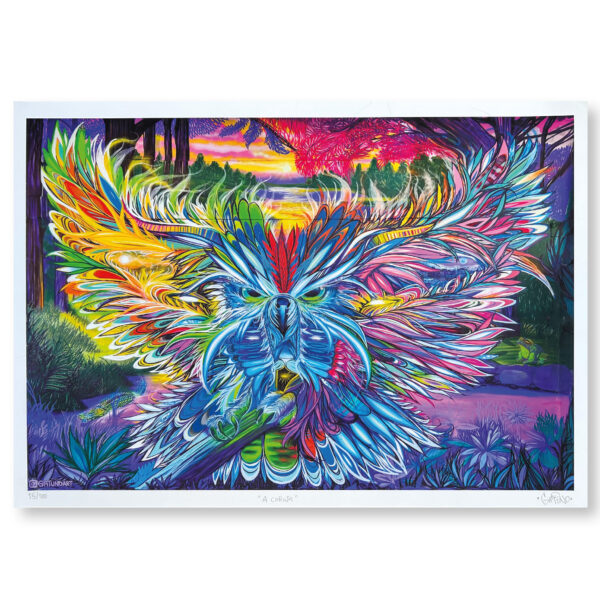 Gatuno « A Coruja »